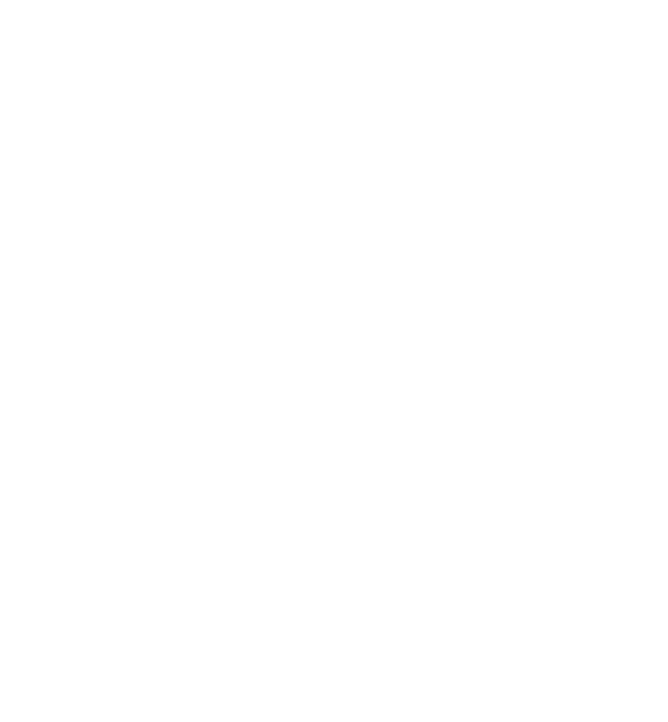 Nordisk Revisjon AS